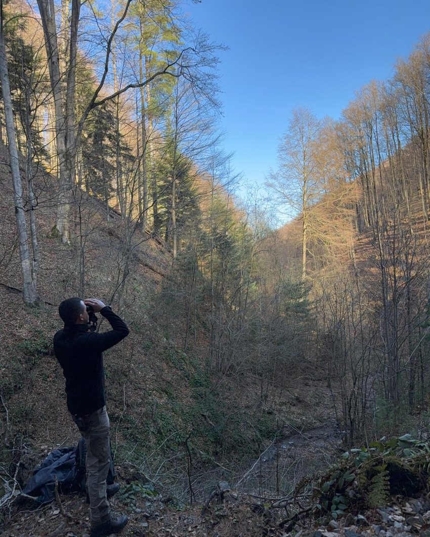 Bird survey in a forested Natura 2000 valley