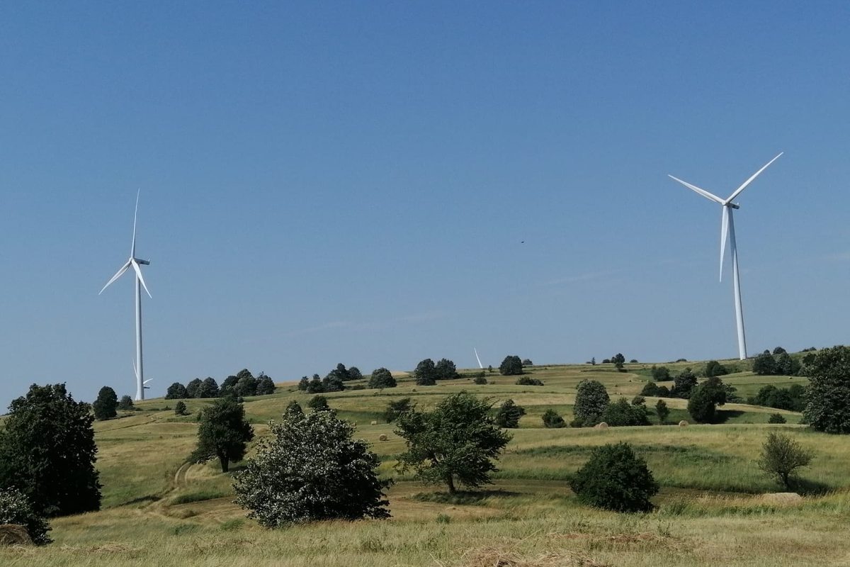 Wind turbines over upland pasture in Romania